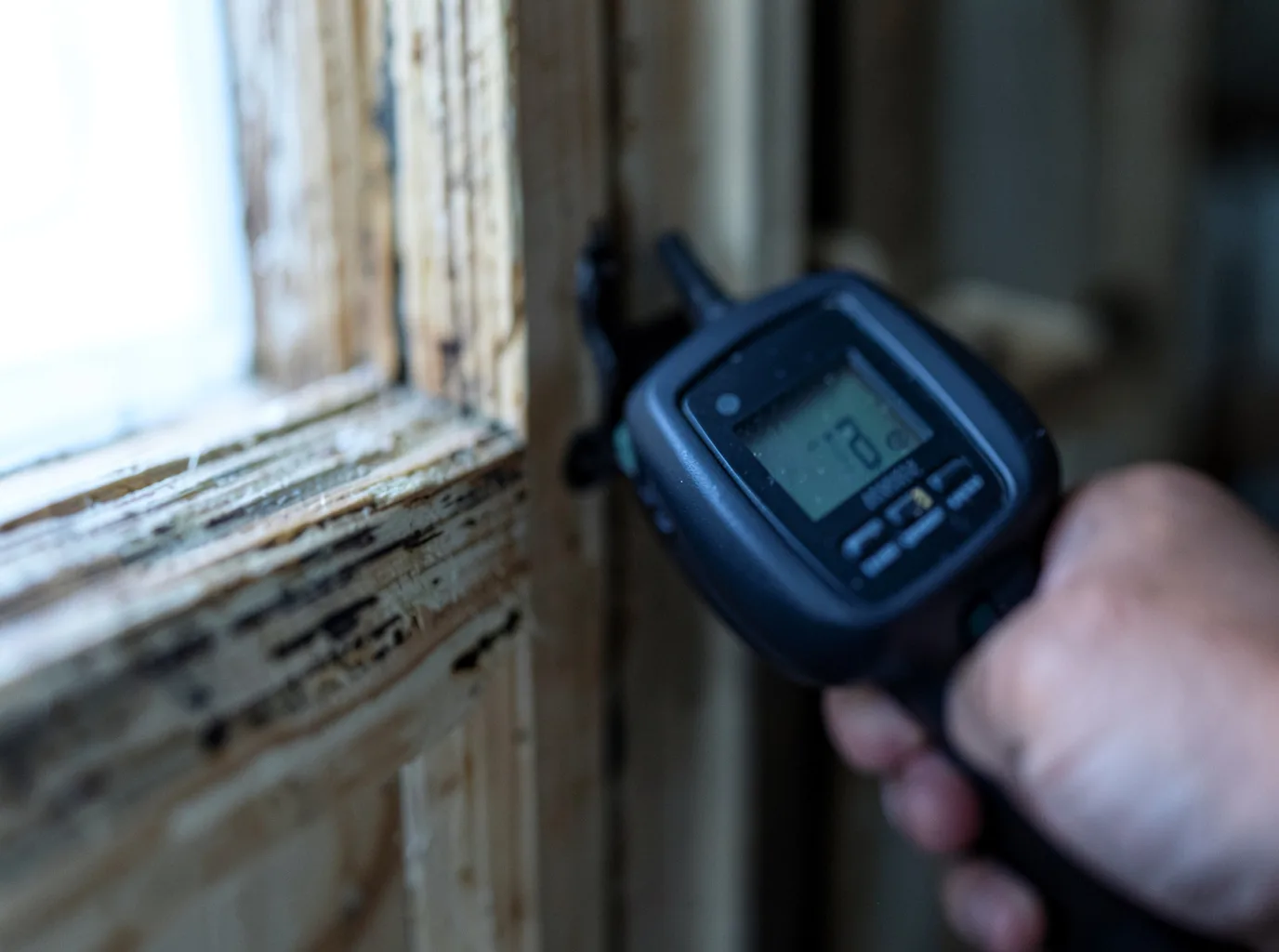 Moisture Inspection And Documentation in Adamstown, PA